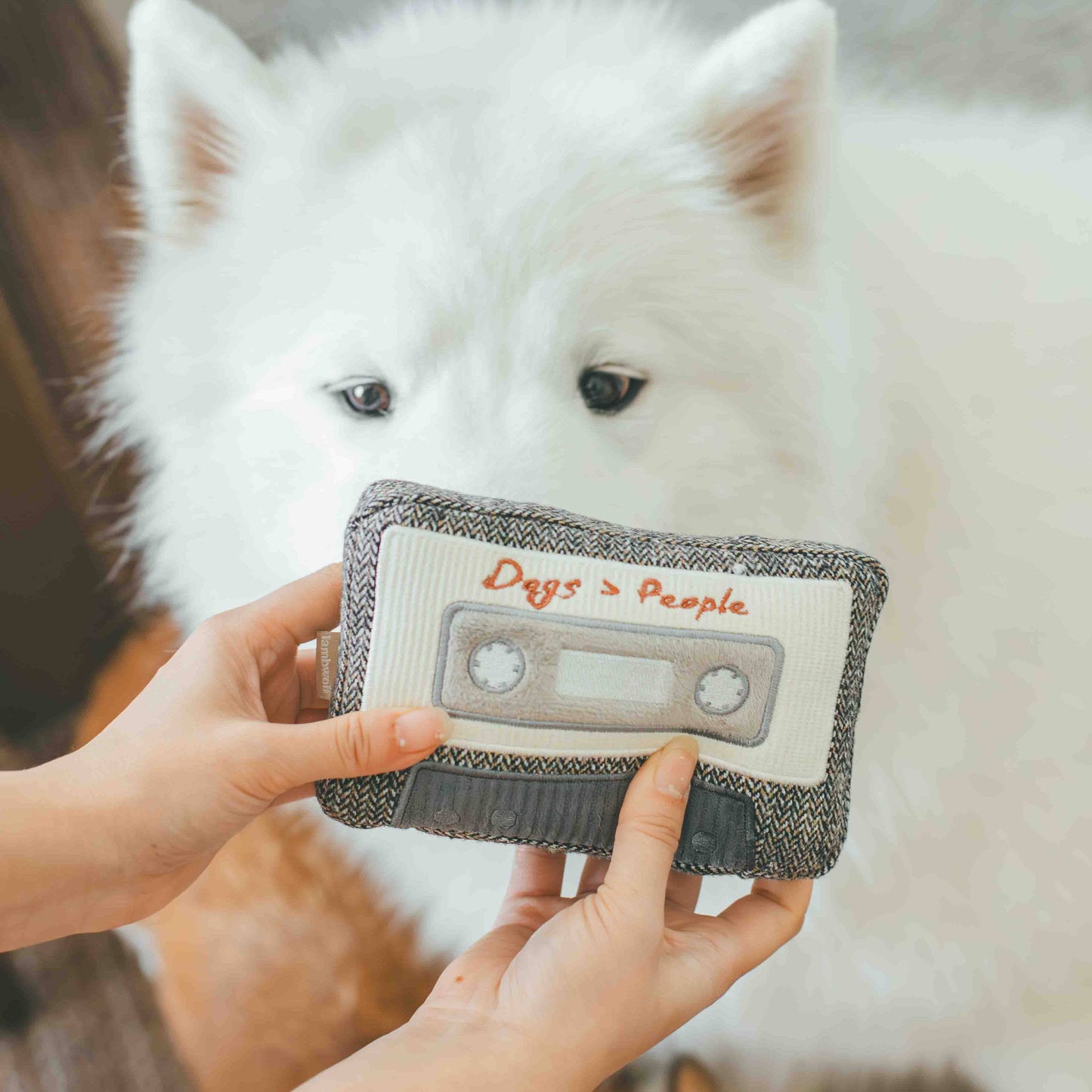 📼 Jouet à renifler pour chien – Cassette rétro (Lambwolf)