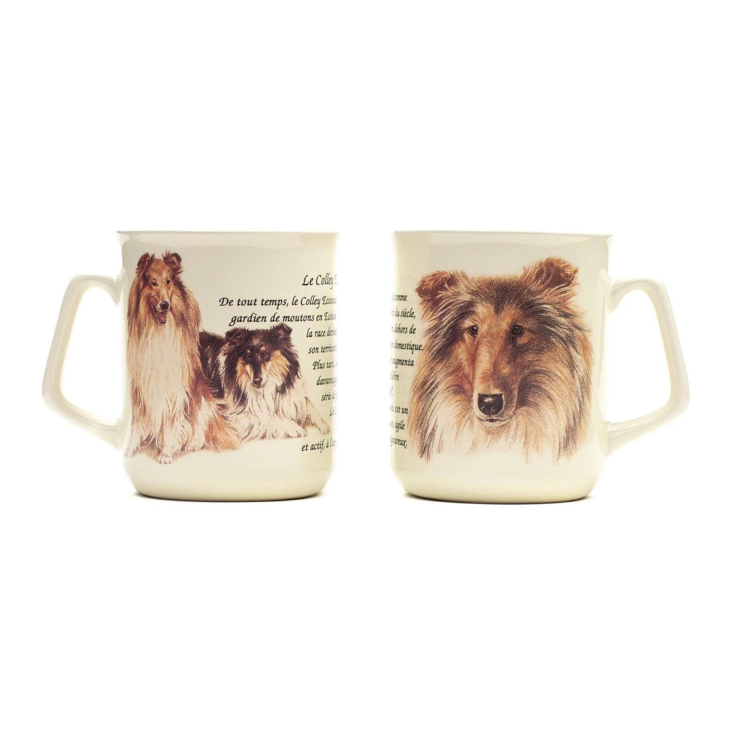 Tasse Scottish Collie