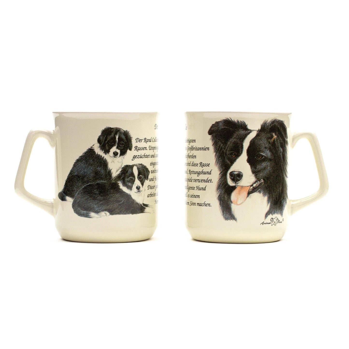 Tasse Border Collie