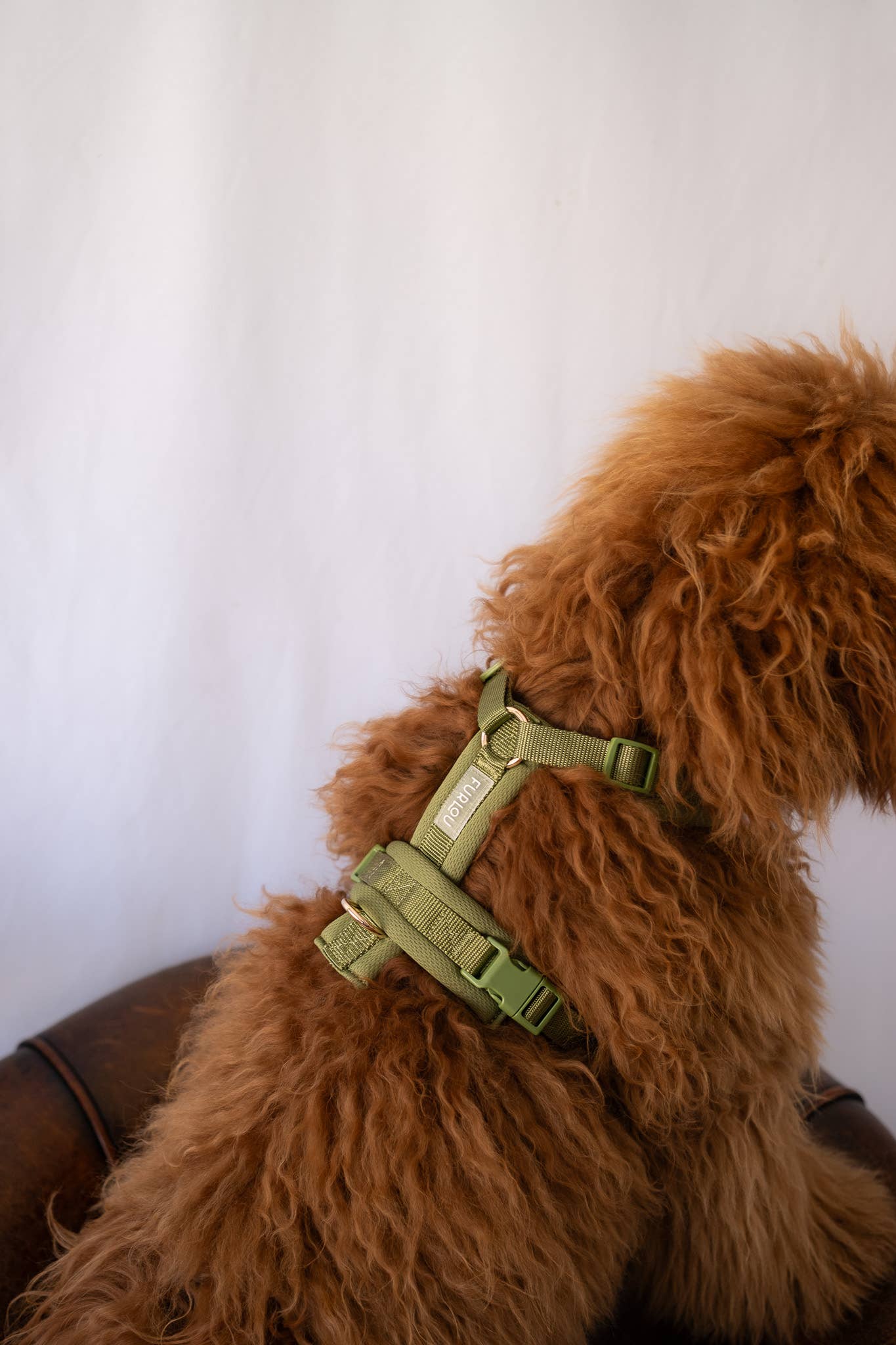 Harnais de confort pour chien - vert