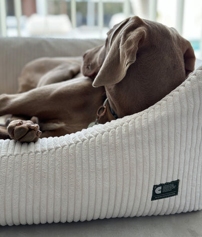 Lit pour chien en velours côtelé Snozy