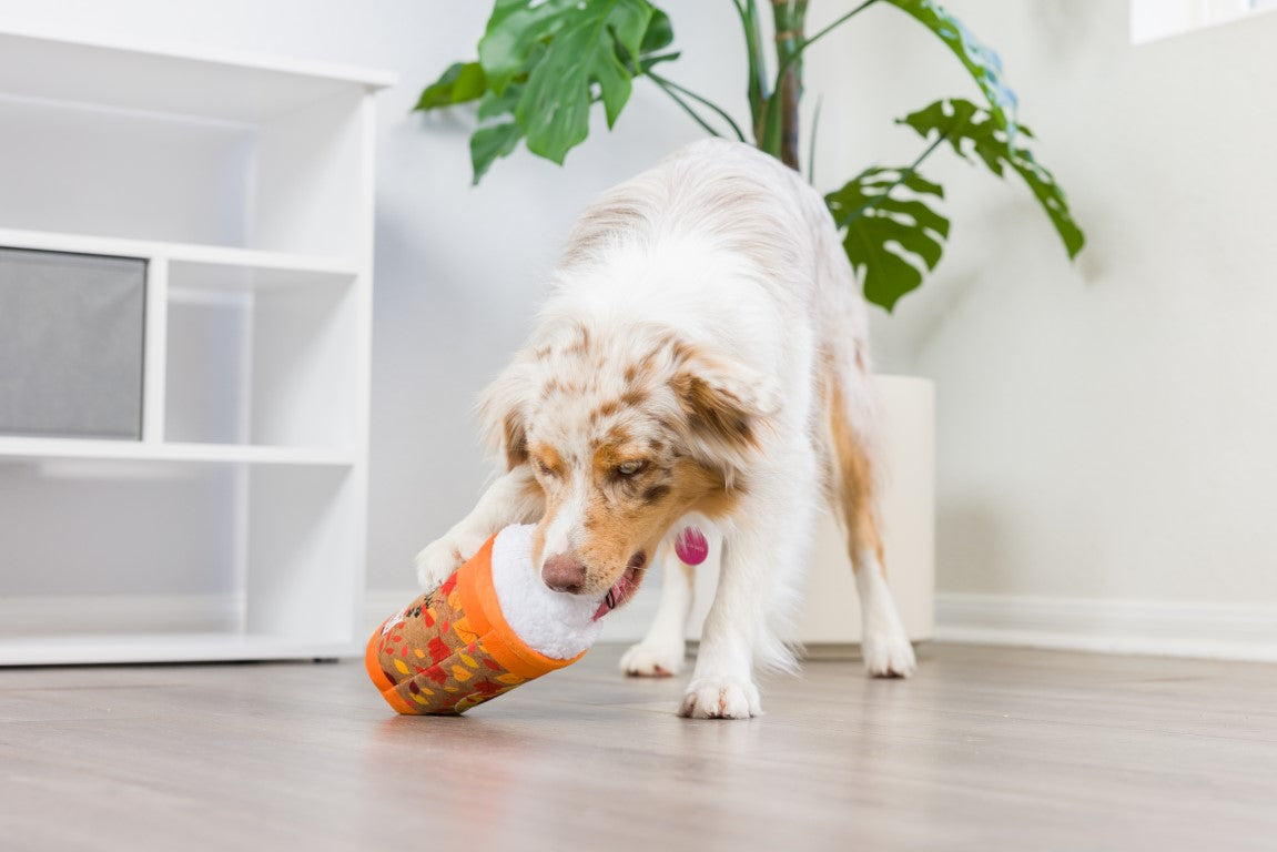 Puggin’ Spice Latte