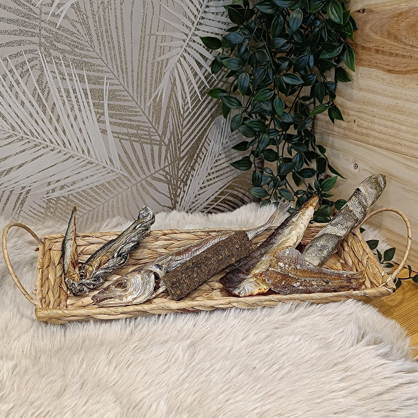 Assortiment poisson