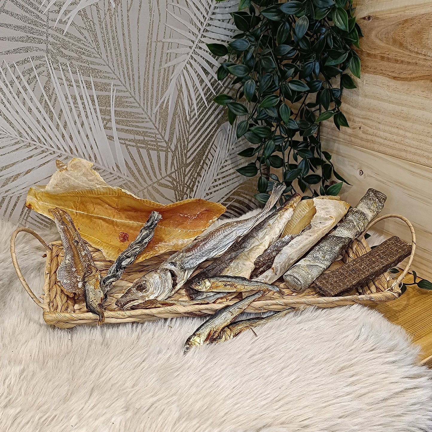 Assortiment poisson