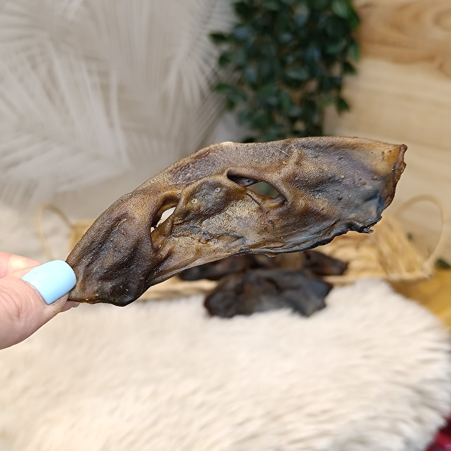 nez de cerf mastication naturelle pour chien