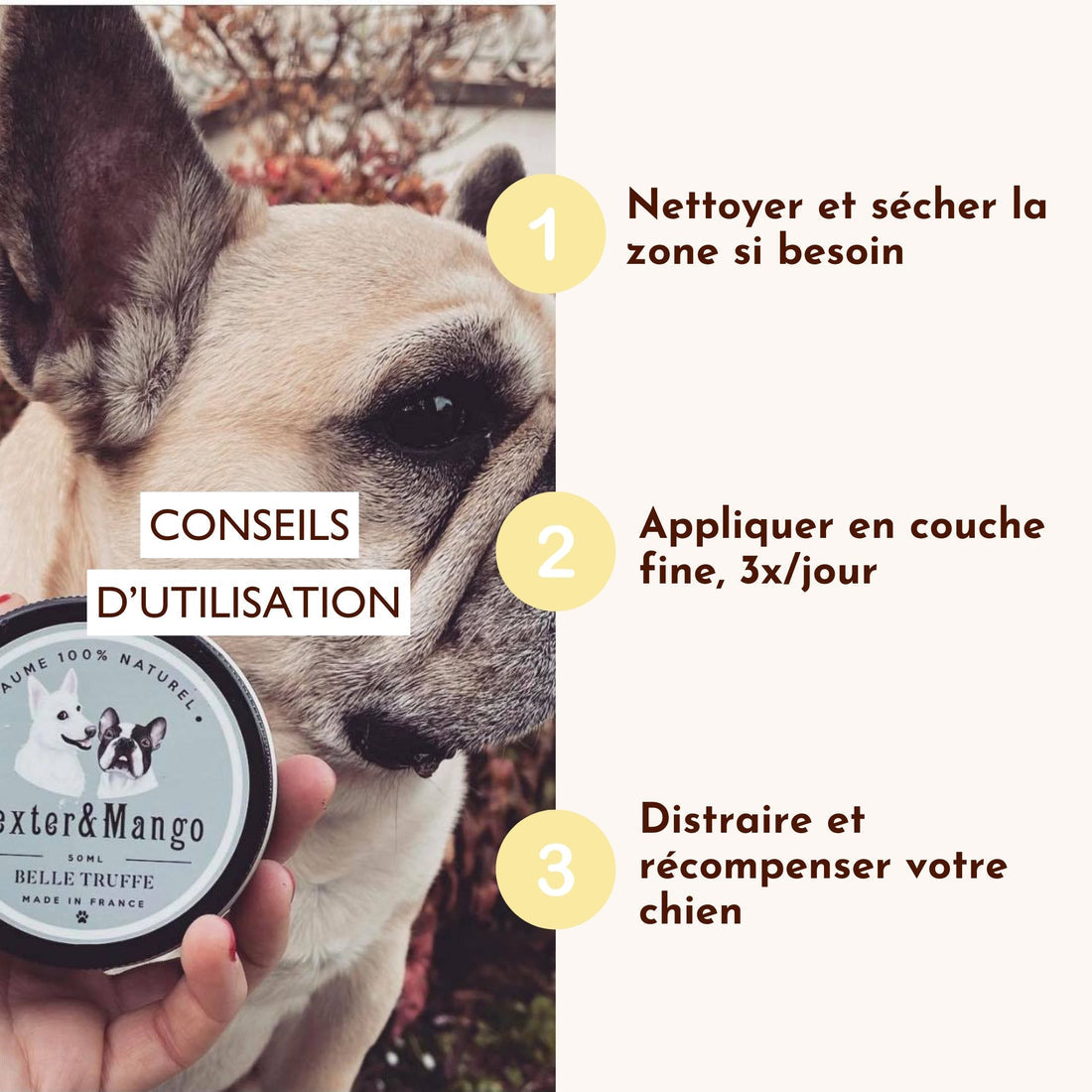 Baume truffe chien : Belle truffe