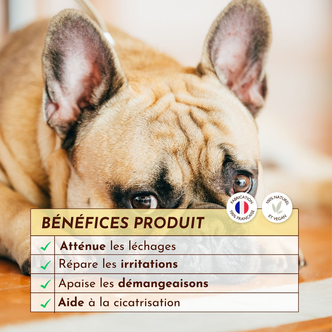 Baume anti démangeaison pour chien : Le Miraculeux