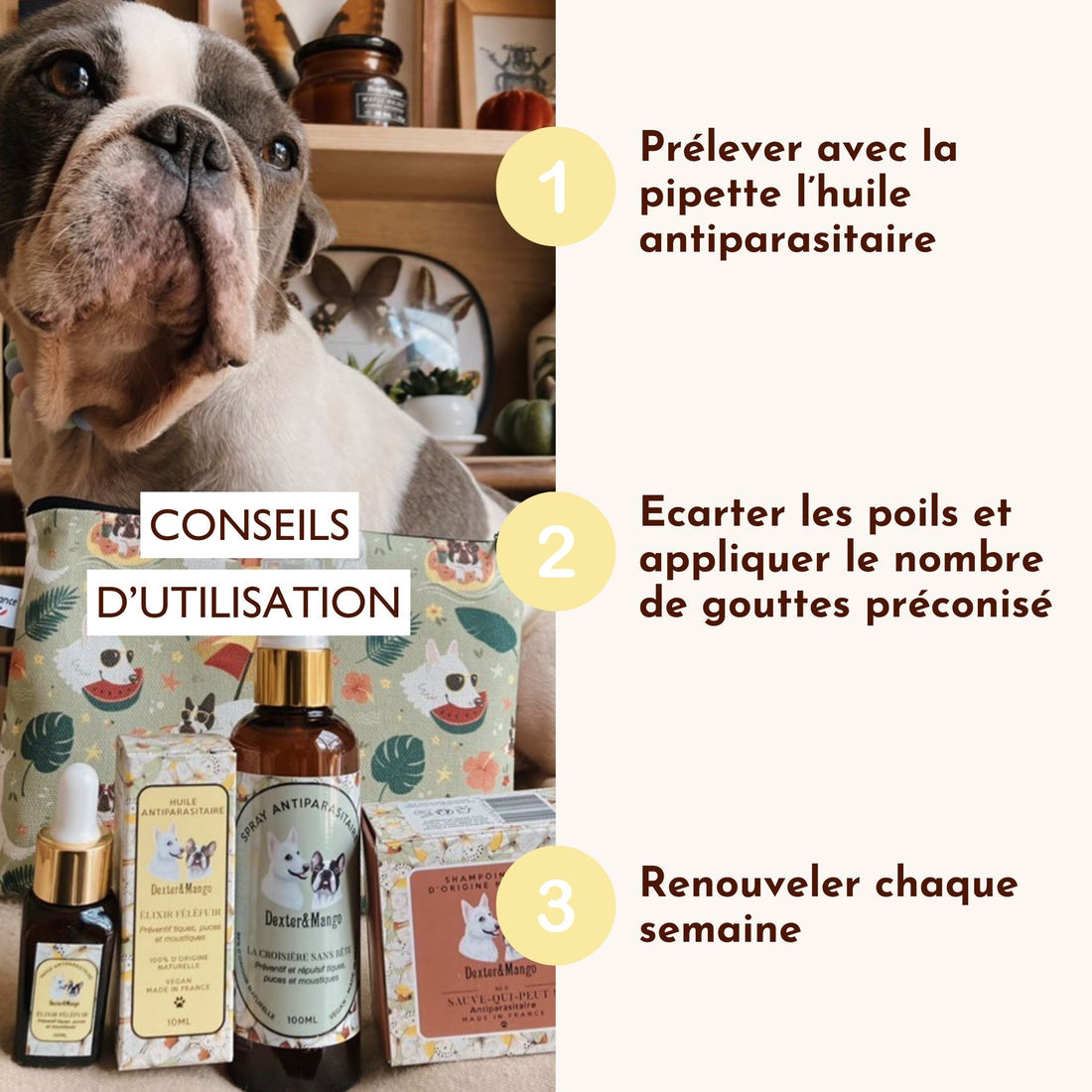 Antiparasitaire pour chien : L'huile Élixir Fèléfuir
