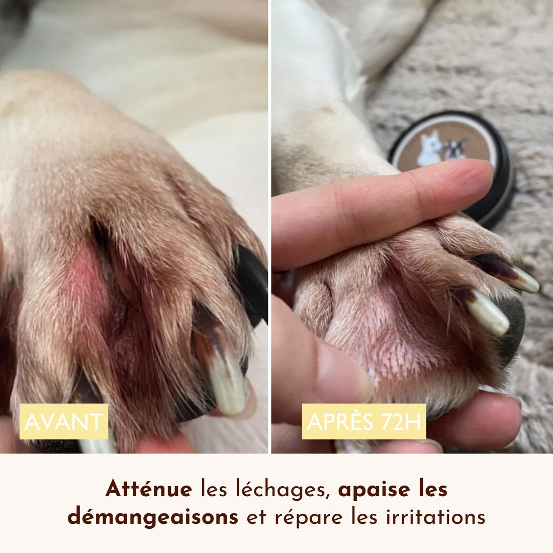 Baume anti démangeaison pour chien : Le Miraculeux