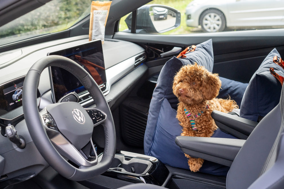 Siège auto Luxueux