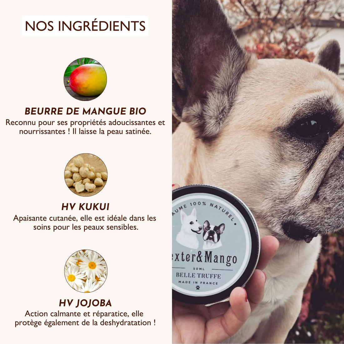 Baume truffe chien : Belle truffe