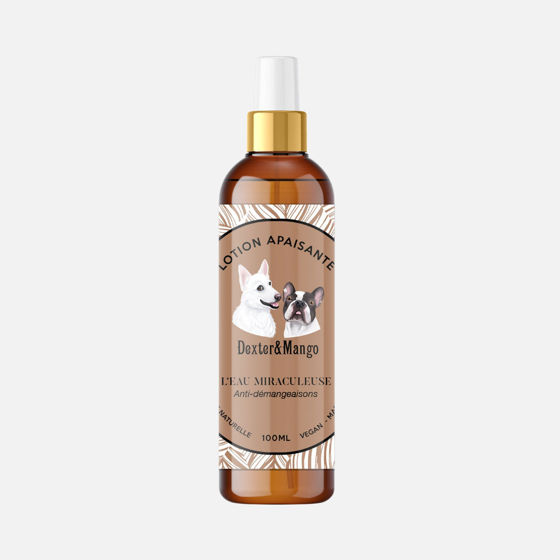 Démangeaison chien : L'eau miraculeuse