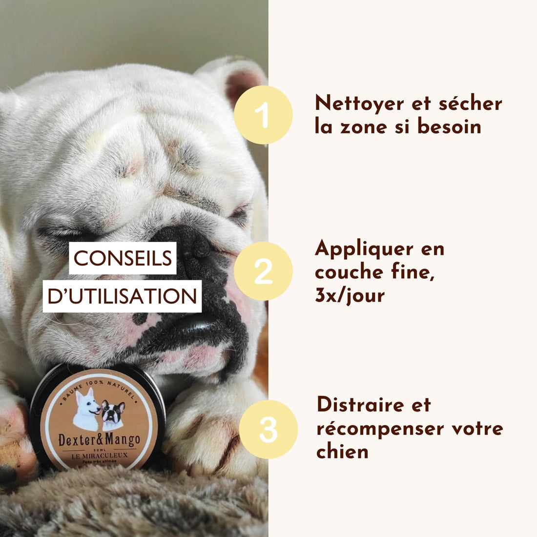 Baume anti démangeaison pour chien : Le Miraculeux