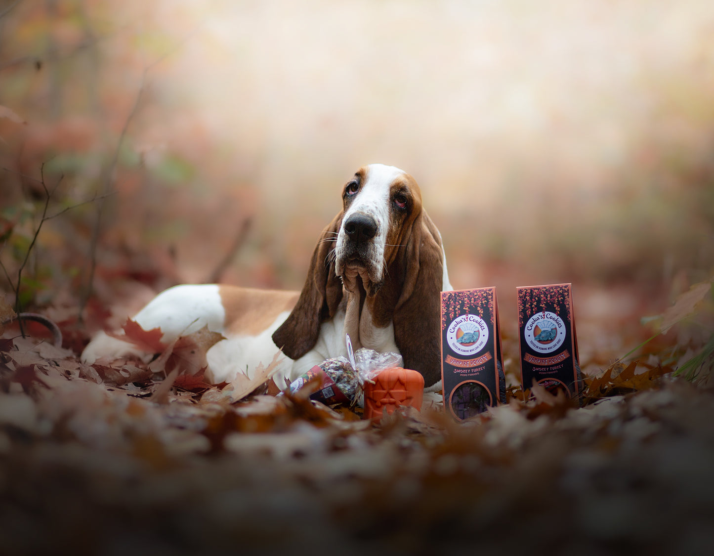 Friandises d’Halloween “Witch Treats”
