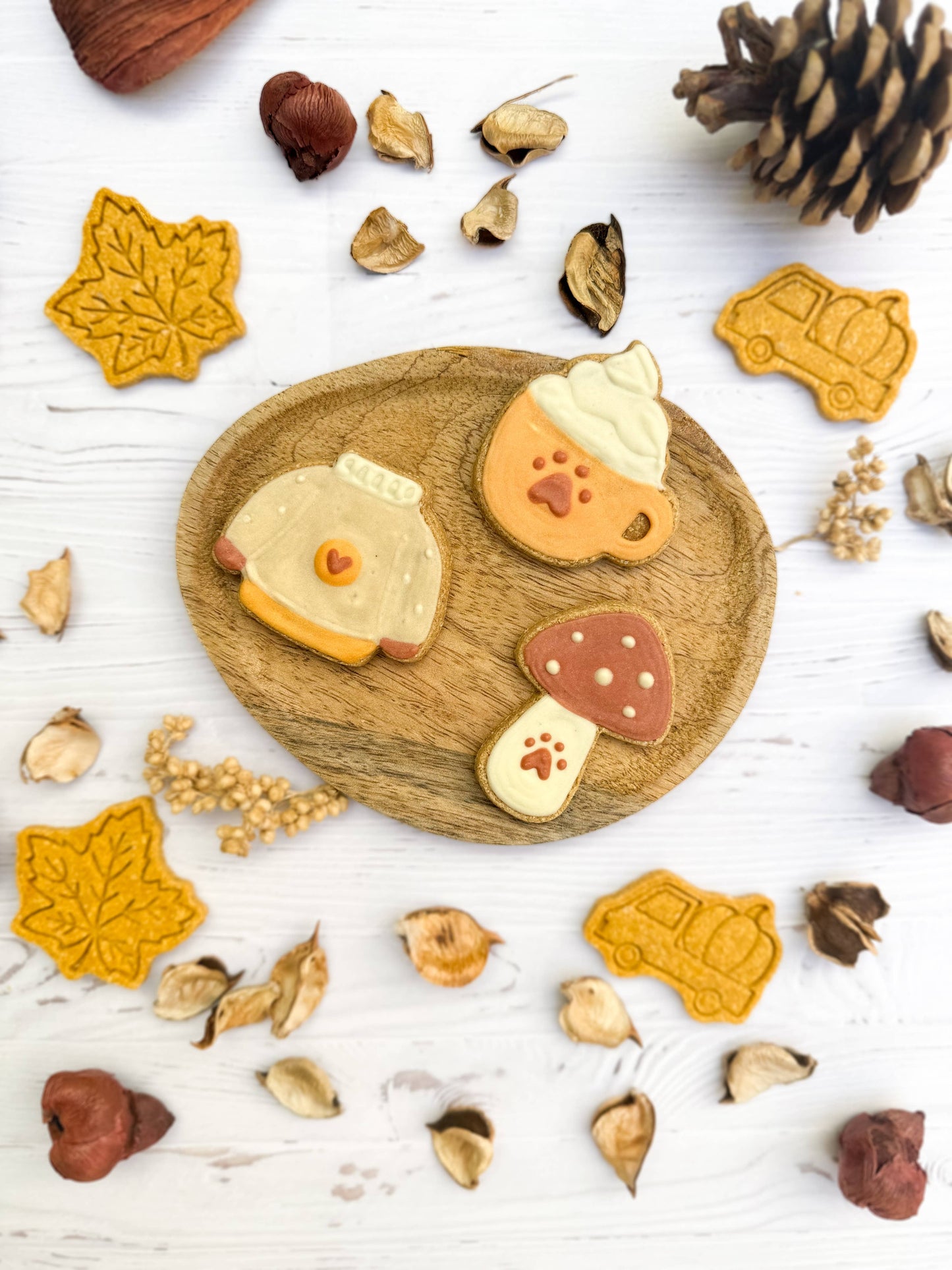 Biscuits pour chien automne – 3 biscuits glacés