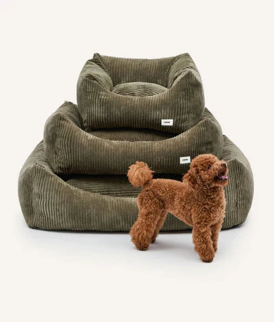 Lit pour chien en velours côtelé Snozy