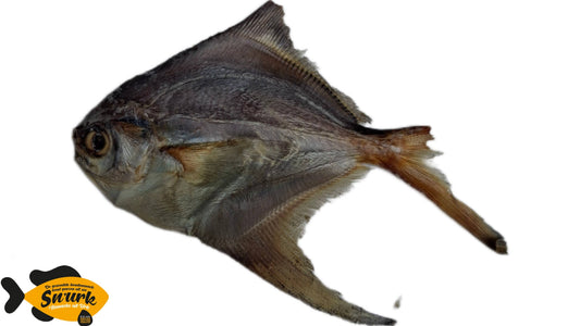 Pomfret séché