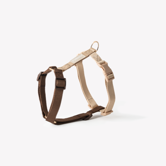 Harnais Straps