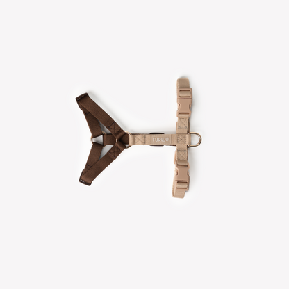 Harnais Straps