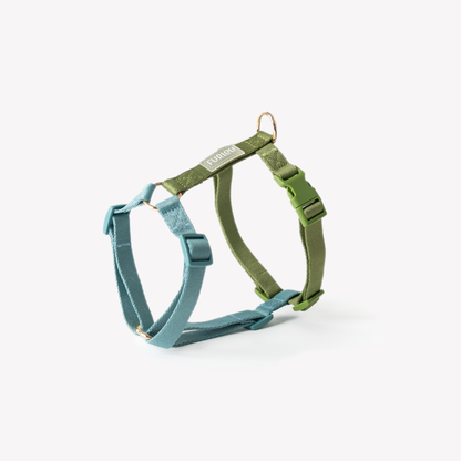 Harnais Straps