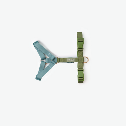 Harnais Straps
