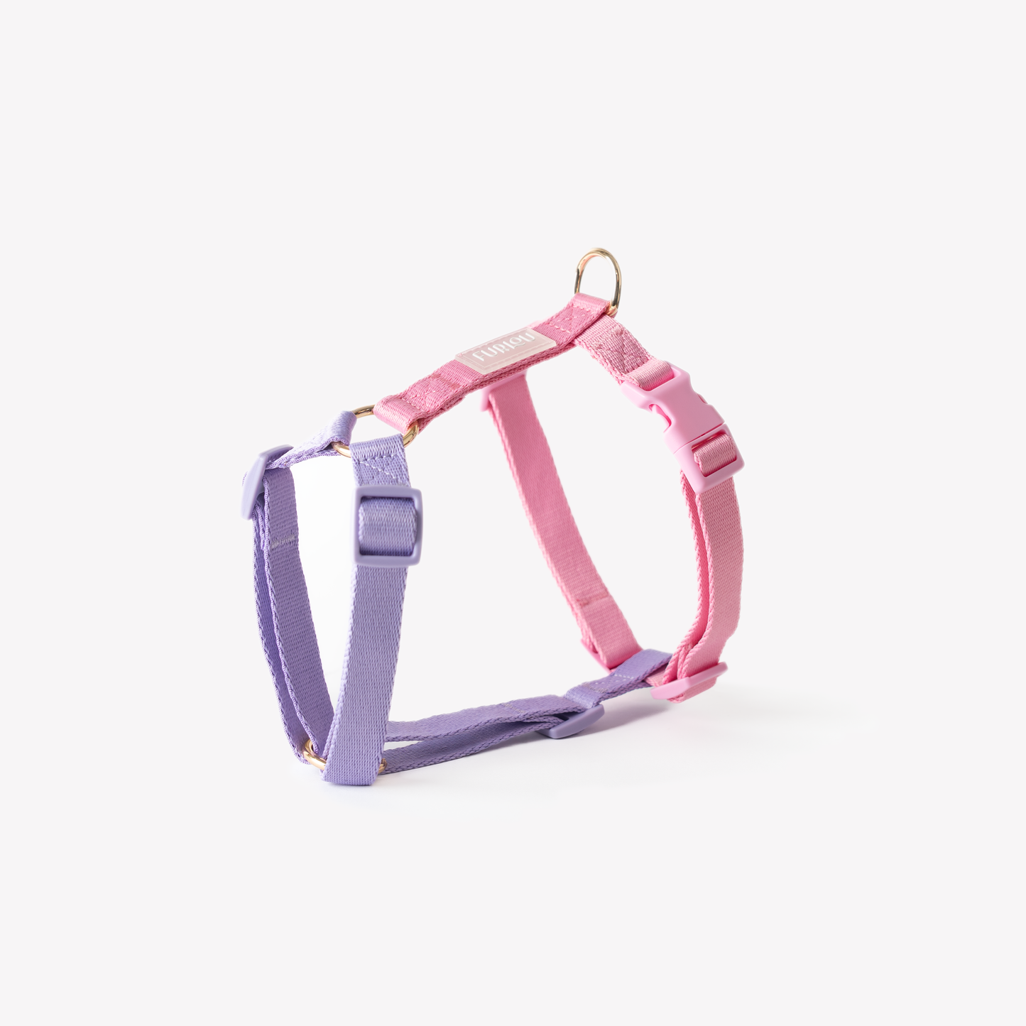 Harnais Straps