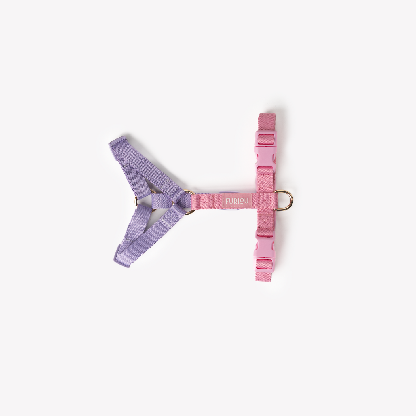 Harnais Straps
