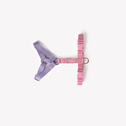 Harnais Straps