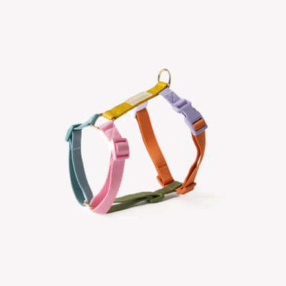 Harnais Straps