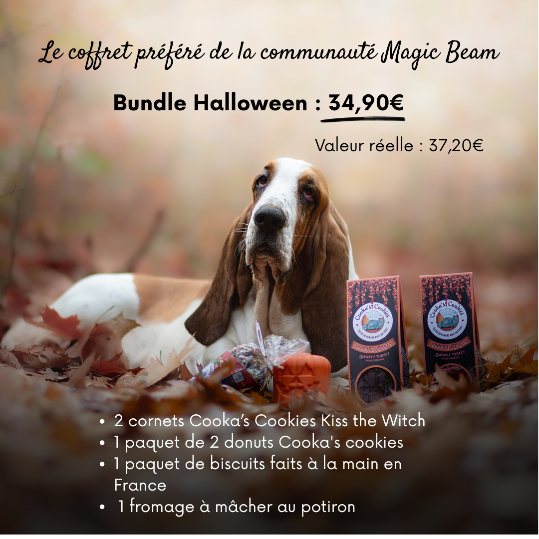 Box Halloween – édition limitée