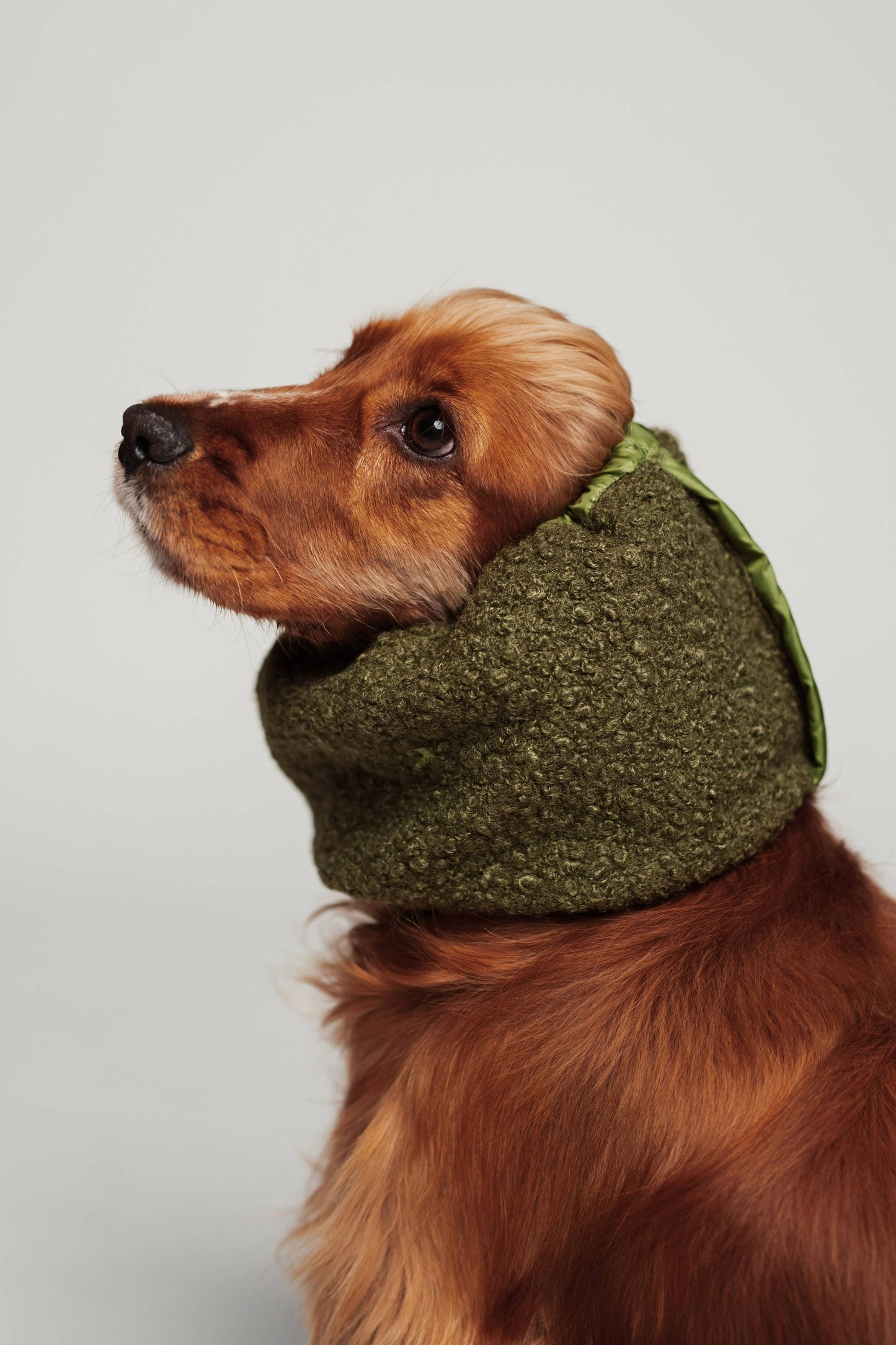 Snood d'hiver