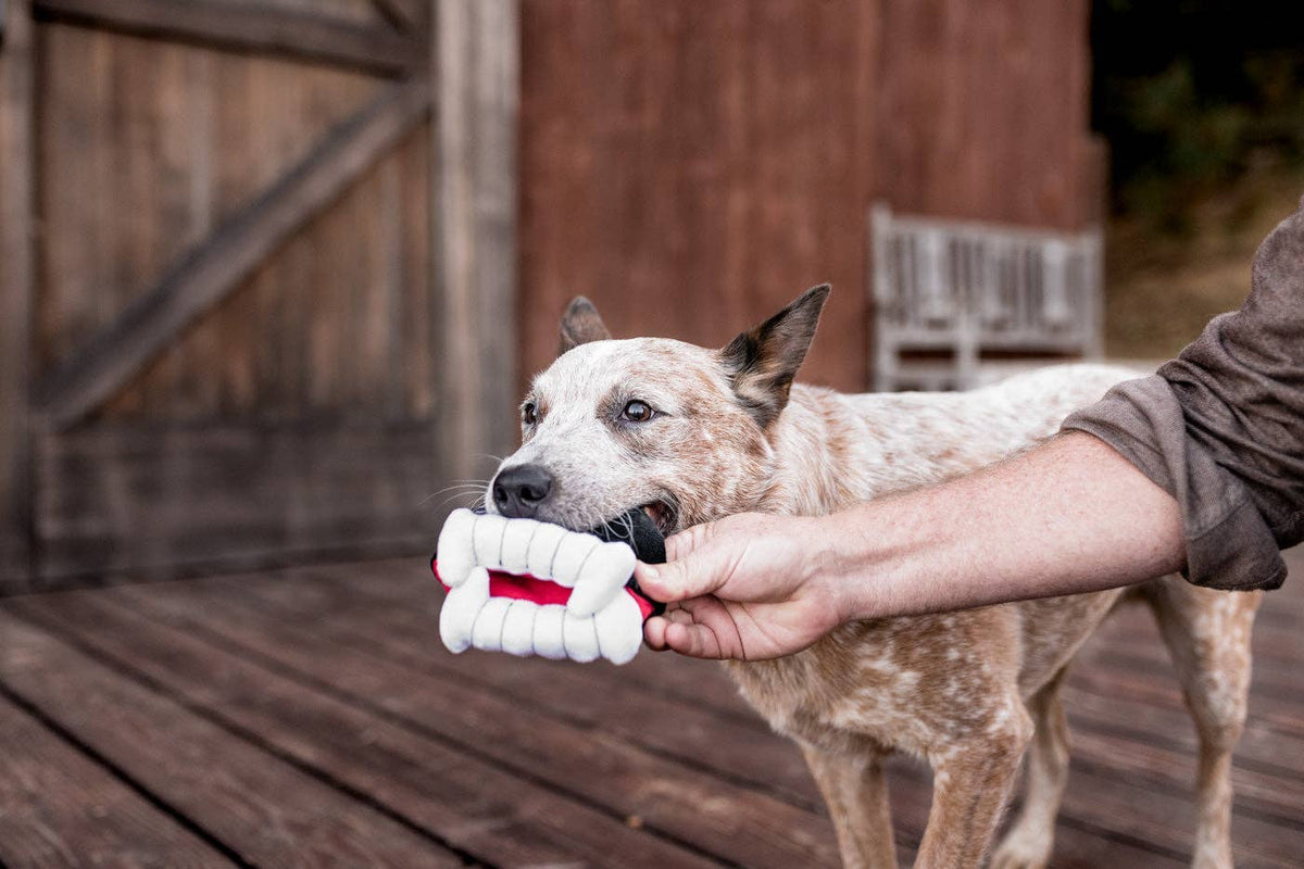 Jouet pour chien Crocs de vampire