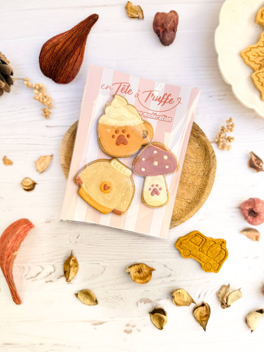 Biscuits pour chien automne – 3 biscuits glacés