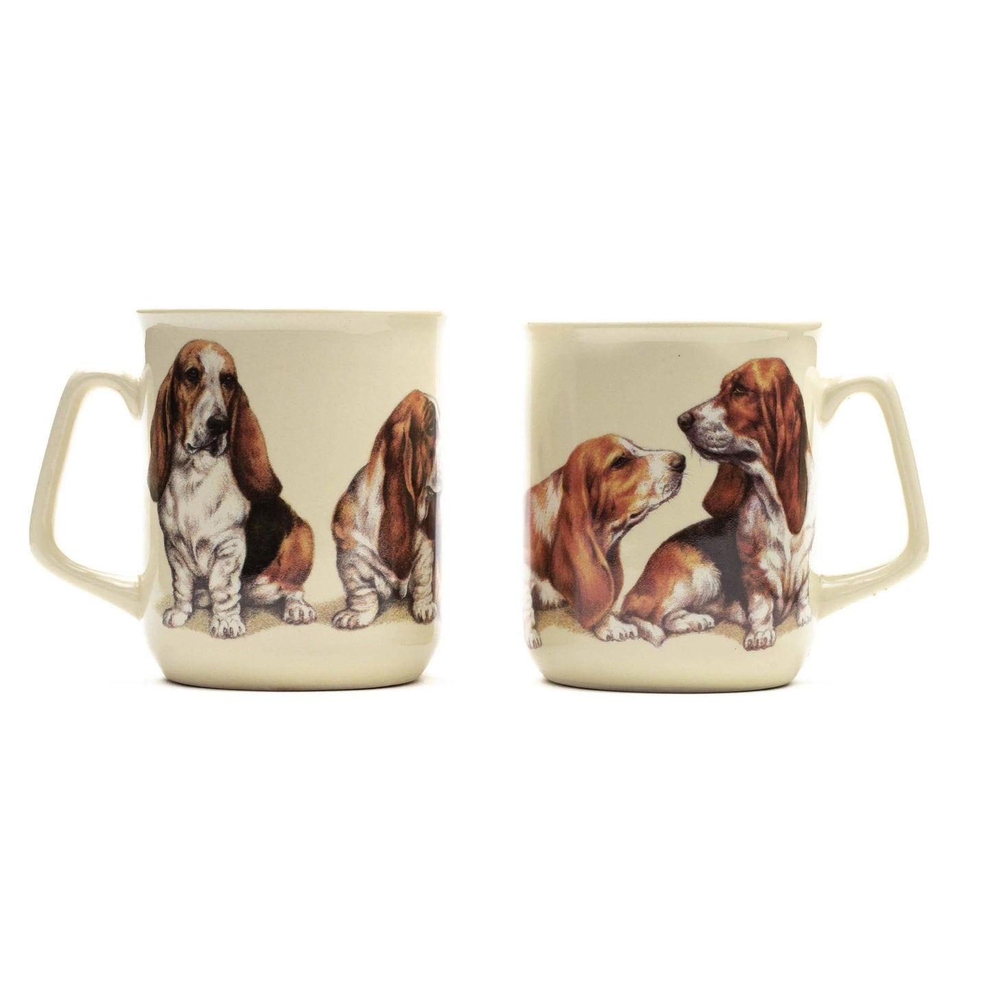 Tasse Basset Hound