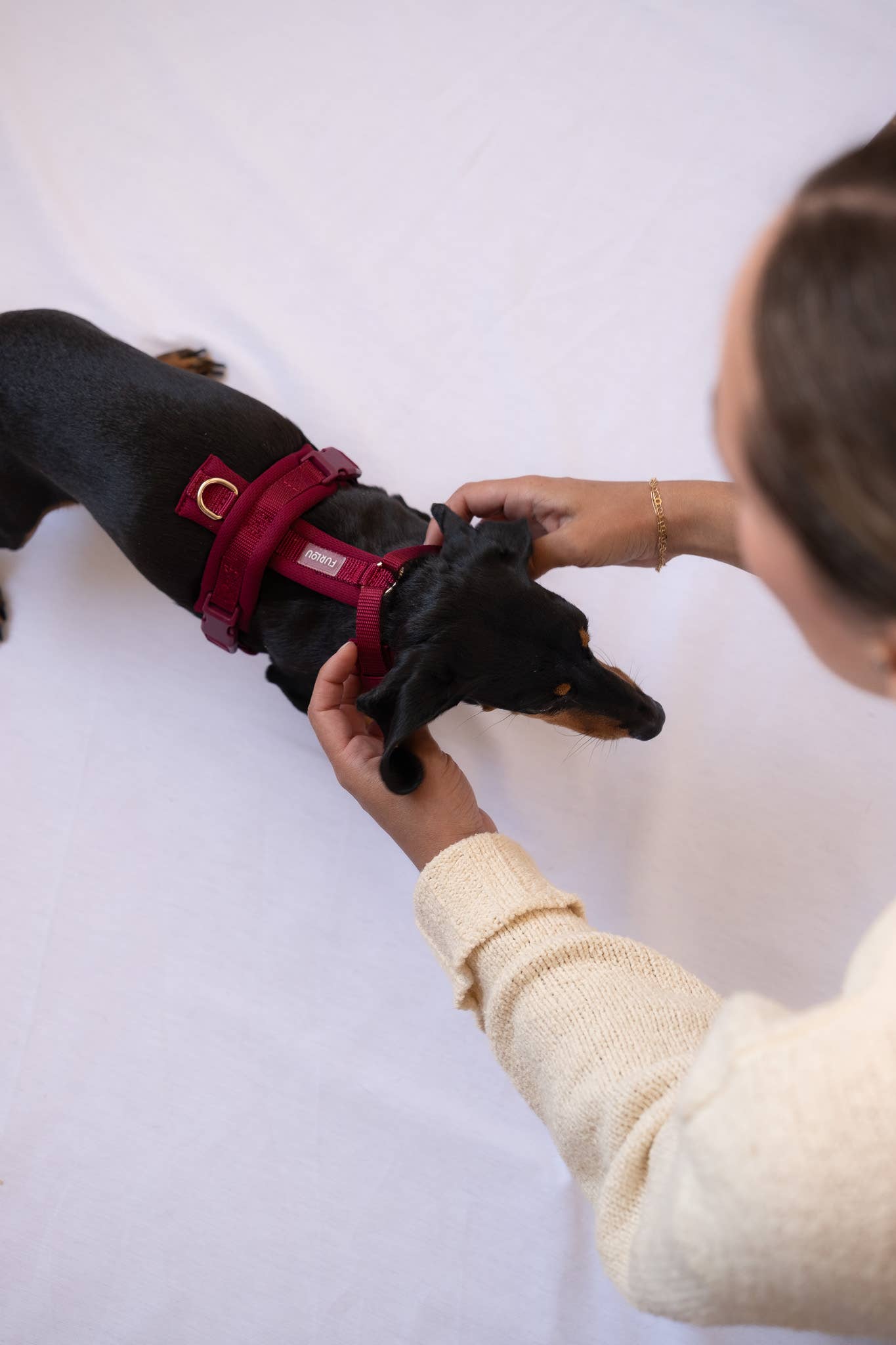 Harnais confort pour chien - Bordeaux