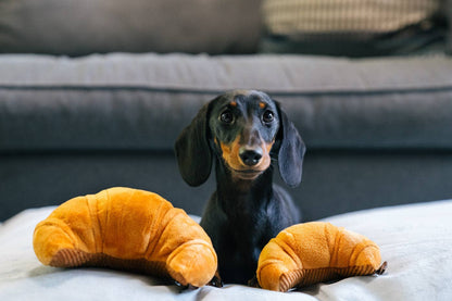Barking Brunch Croissant – Jouet pour chien P.L.A.Y.