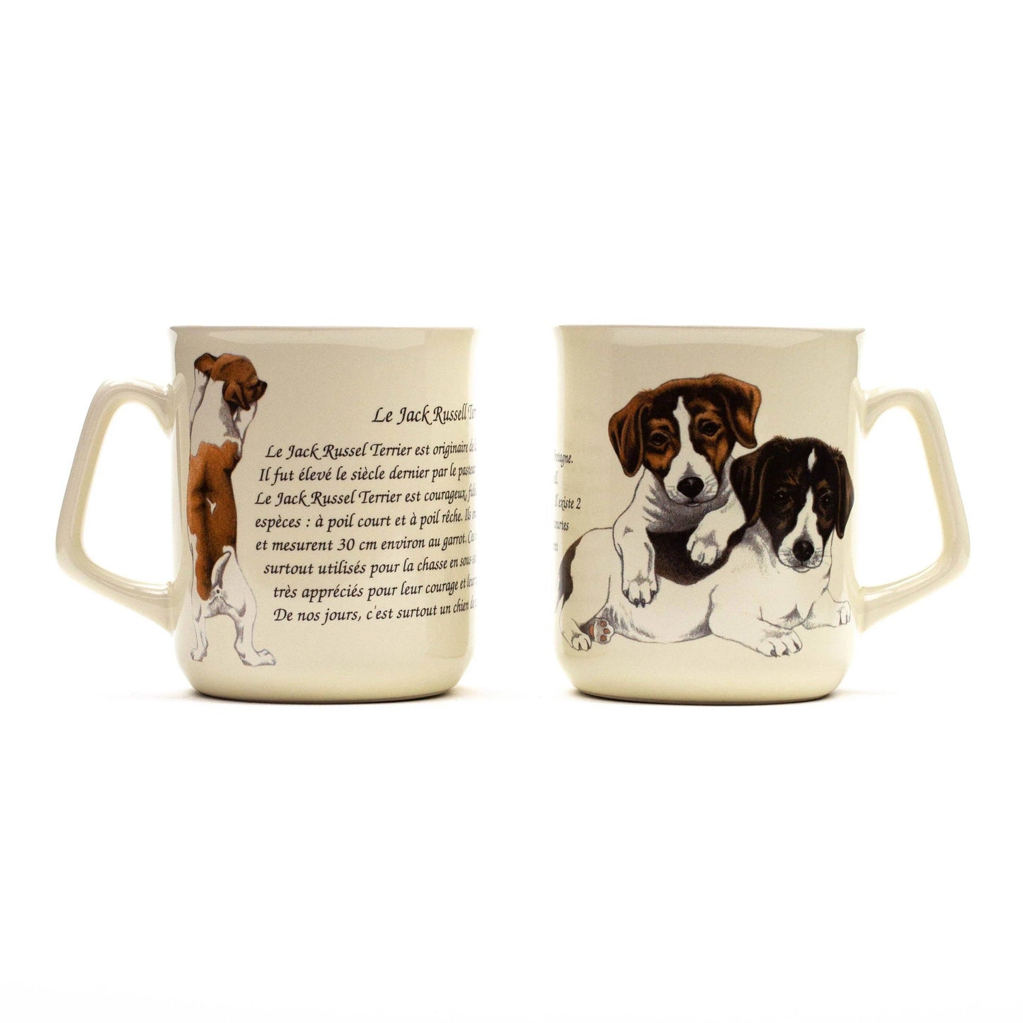 Tasse Jack Russell Terrier