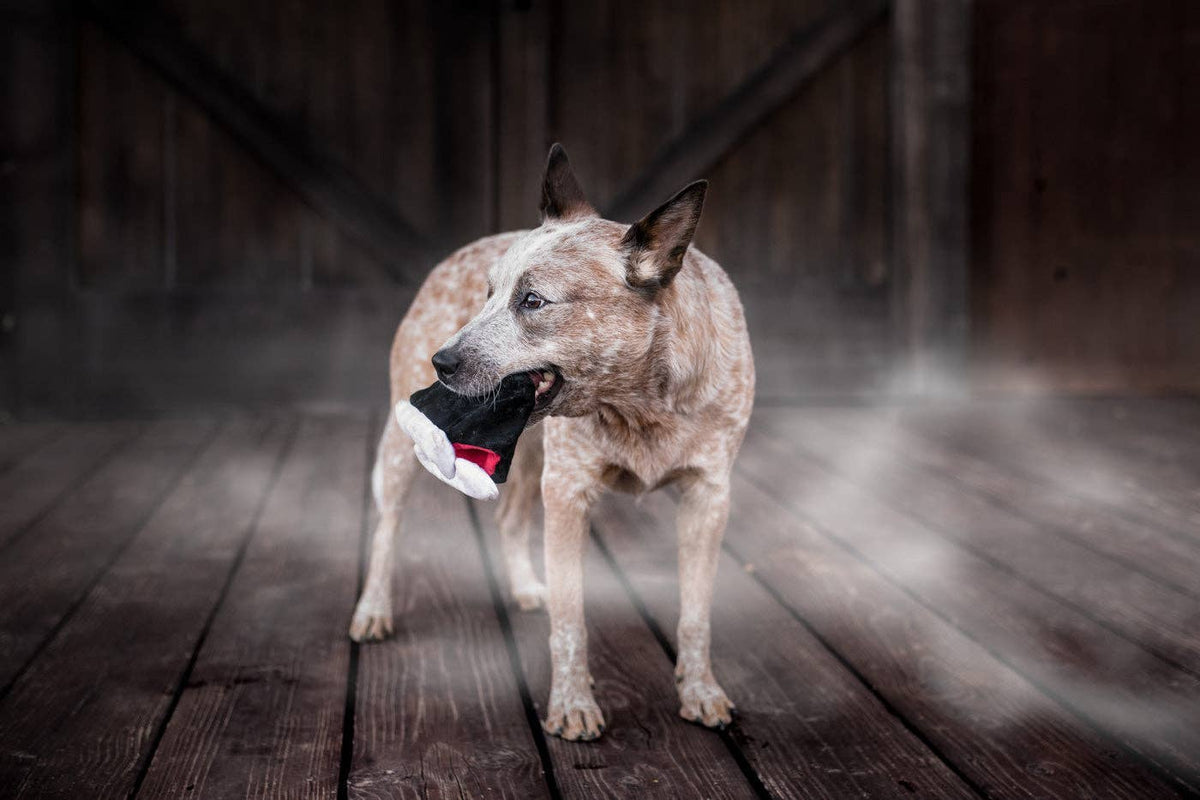 Jouet pour chien Crocs de vampire