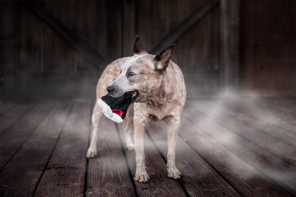 Jouet pour chien Crocs de vampire