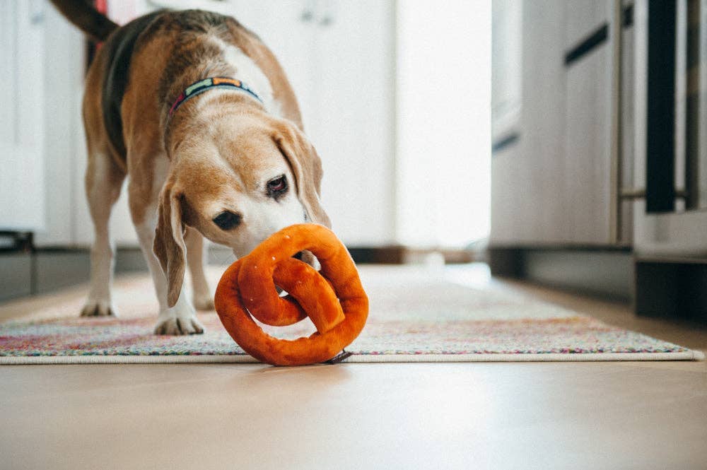 Poochie Bretzel P.L.A.Y