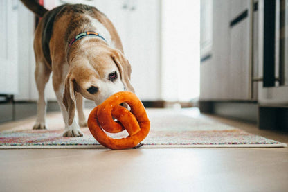Poochie Bretzel P.L.A.Y