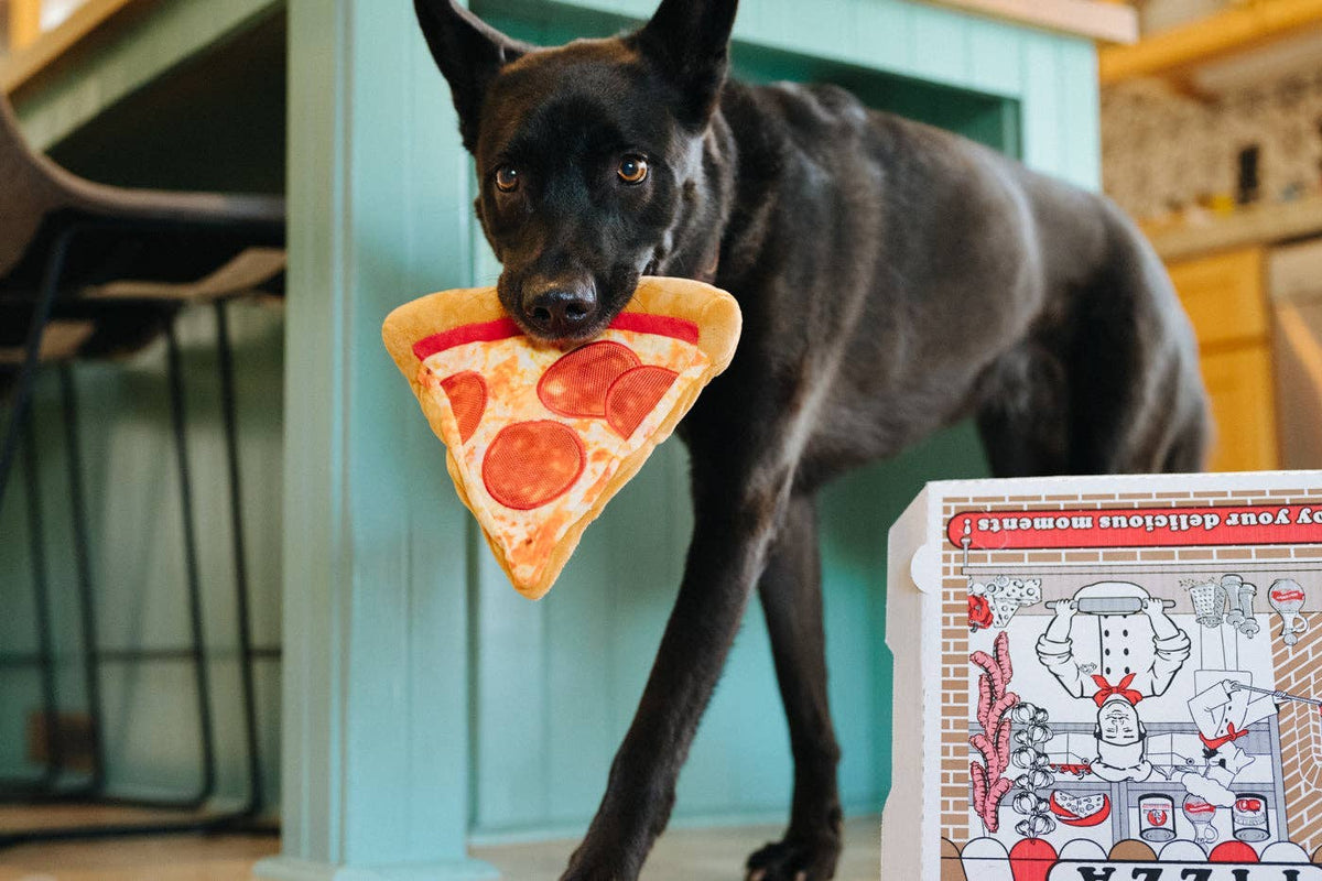 Jouet pour chien P.L.A.Y Snack Attack Puppy-roni Pizza