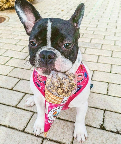 Bouchées à la dinde – Cooka’s Cookies