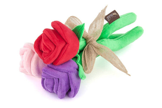 P.L.A.Y  Les Roses de Rover