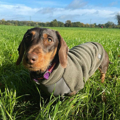 Pull polaire avec panneau ventral imperméable – spécial teckels miniatures