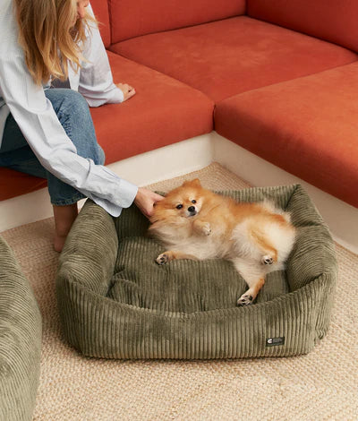 Lit pour chien en velours côtelé Snozy