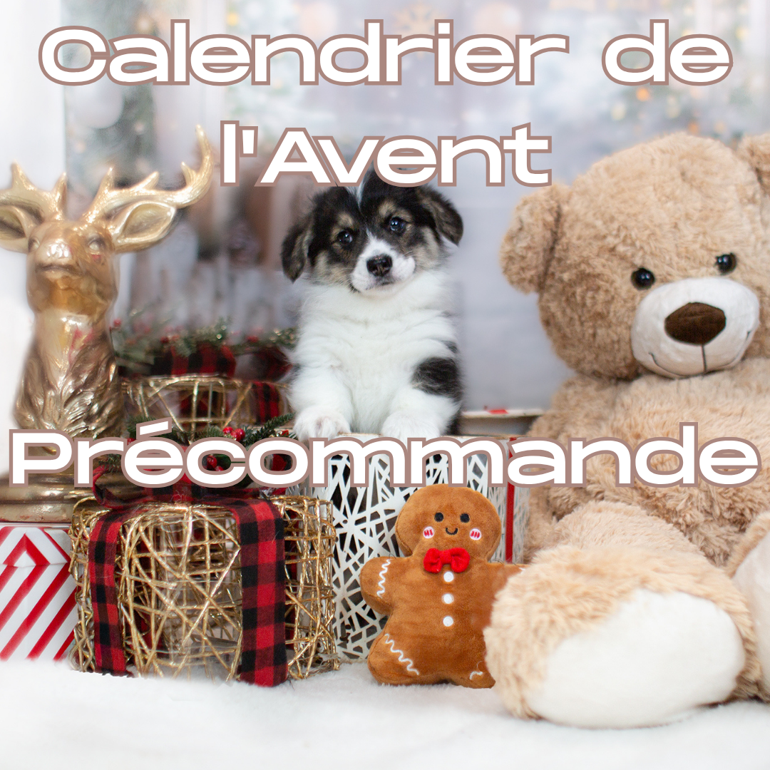 Calendrier de l’Avent pour chien - Précommande