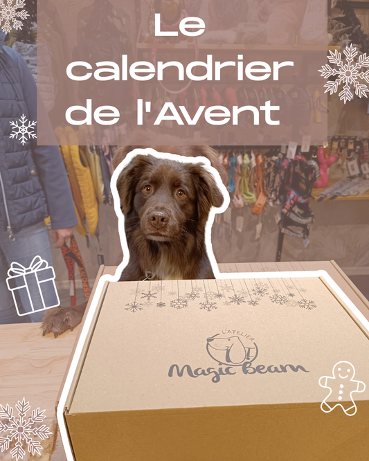 Calendrier de l’Avent pour chien – Précommande