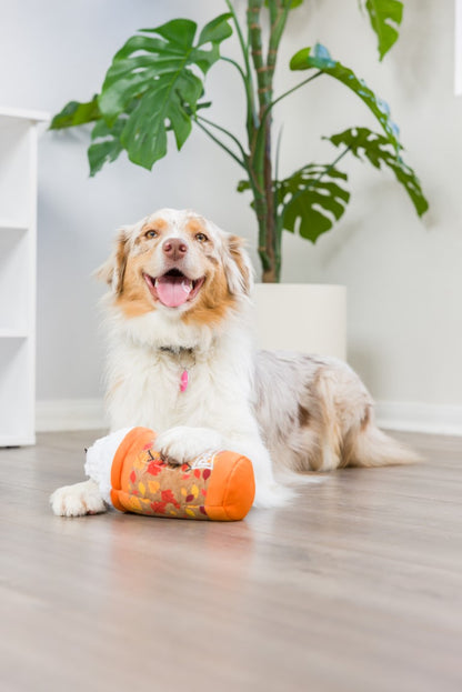 Puggin’ Spice Latte