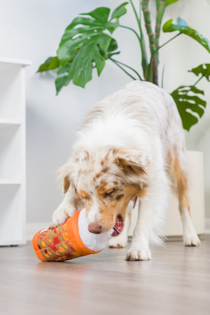 Puggin’ Spice Latte